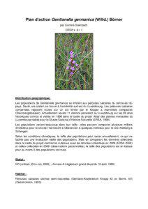 Plan d’action Gentianella germanica (Willd.) Börner par Corinne Steinbach ERSA s. à r. l.