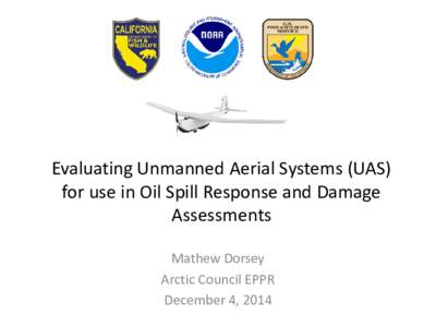 Hazards / Ocean pollution / Oil spill / Simulation / Wrack / Beach / Unmanned aerial vehicle / Fluorescein