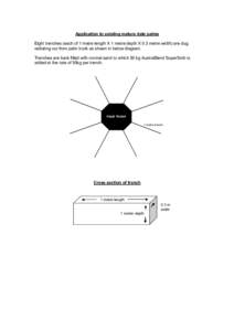 Application to existing mature date palms Eight trenches (each of 1 metre length X 1 metre depth X 0.3 metre width) are dug, radiating out from palm trunk as shown in below diagram. Trenches are back filled with normal s