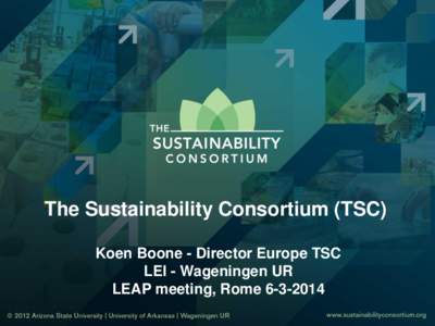 The Sustainability Consortium (TSC) Koen Boone - Director Europe TSC LEI - Wageningen UR LEAP meeting, Rome[removed]  Content