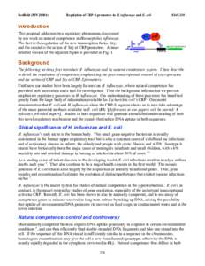 Redfield (PINRegulation of CRP-S promoters in H. influenzae and E. coli $169,310