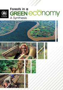 Forests in a  y GREEN economy A Synthesis