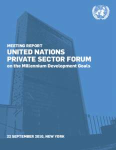 Meeting report  United nations Private Sector Forum on the Millennium Development Goals