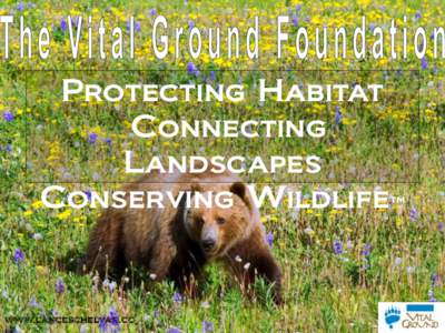 Protecting Habitat Connecting Landscapes Conserving Wildlife™  www.lanceschelvan.co