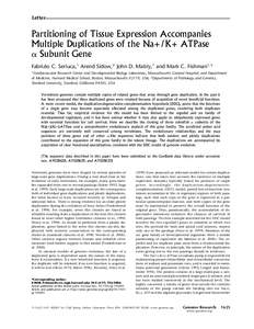 Letter  Partitioning of Tissue Expression Accompanies Multiple Duplications of the Na+/K+ ATPase ␣ Subunit Gene Fabrizio C. Serluca,1 Arend Sidow,2 John D. Mably,1 and Mark C. Fishman1,3