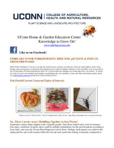 UConn Home & Garden Education Center Knowledge to Grow On! www.ladybug.uconn.edu Like us on Facebook! FEBRUARY IS FOR FORKED ROOTS, FREE SOIL pH TESTS & INSECTS