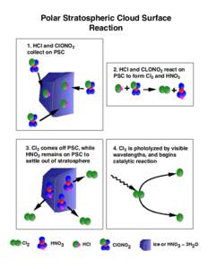 Polar Stratospheric Cloud Surface Reaction 1. HCl and ClONO2 collect on PSC 2. HCl and CLONO2 react on PSC to form Cl2 and HNO3