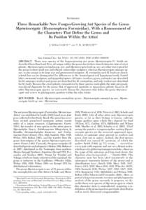 SYSTEMATICS  Three Remarkable New Fungus-Growing Ant Species of the Genus Myrmicocrypta (Hymenoptera: Formicidae), With a Reassessment of the Characters That Deﬁne the Genus and Its Position Within the Attini