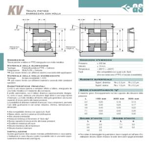 KV  Tenuta pistone energizzata con molla S