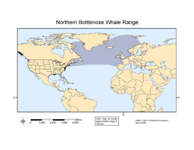 Northern Bottlenose Whale Range map