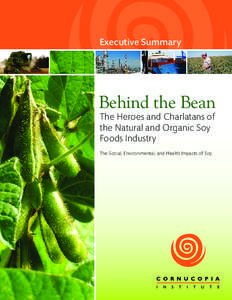 Executive Summary  Behind the Bean