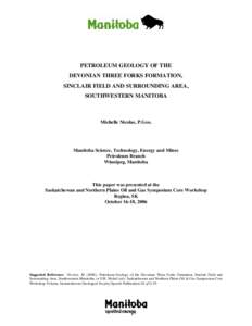 Microsoft Word - TF Sinclair Core Workshop Paper Oct 2006_with figures_revised.doc