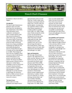 Technical Bulletin  By Nathan A. Blount and John J. Riggins. Introduction The beech scale (Cryptococcus