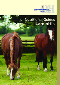 Nutritional Guides Laminitis