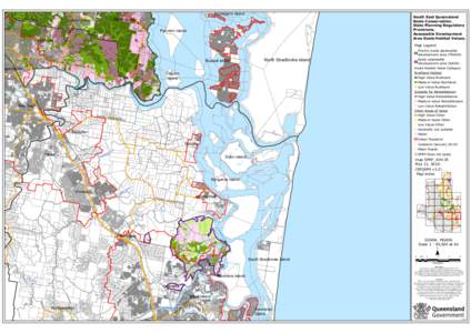 Koala / North Stradbroke Island / South Stradbroke Island / Stradbroke / Mammals of Australia / Geography of Queensland / Coomera /  Queensland