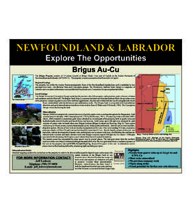 NEWFOUNDLAND & LABRADOR Explore The Opportunities Brigus Au-Cu FR  O