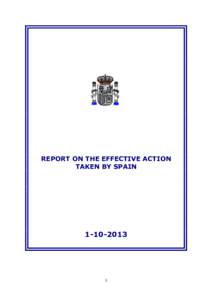 REPORT ON THE EFFECTIVE ACTION TAKEN BY SPAIN[removed]