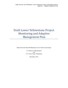 Goal - correct unsatisfactory passage conditions for endangered pallid sturgeon and other native fish in the lower Yellowstone River and reduce entrainment of fish into the Lower Yellowstone Project main canal