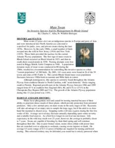 RI DEM/Fish and Wildlife- Mute Swan Fact Sheet