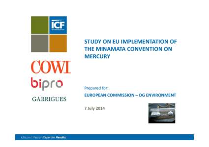 STUDY ON EU IMPLEMENTATION OF THE MINAMATA CONVENTION ON MERCURY Prepared for: