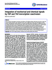 An upper limit for macromolecular crowding effects