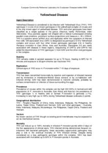 European Community Reference Laboratory for Crustacean Diseases leafletYellowhead Disease Agent Description Yellowhead Disease is considered to be infection with Yellowhead Virus (YHV). YHV (genotype 1) is one of 