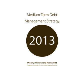 Medium-Term Debt Management Strategy 2013 Ministry of Finance and Public Credit General Directorate of Public Credit National Treasury