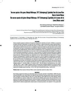 Hidrobiológica 2009, 19 (2): [removed]Two new species of the genus Notropis Rafinesque, 1817 (Actinopterygii, Cyprinidae) from the Lerma River