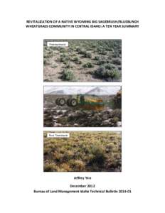 Revitalization of a Native Wyoming Big Sagebrush/Bluebunch Wheatgrass Community in Central Idaho: A Ten Year Summary