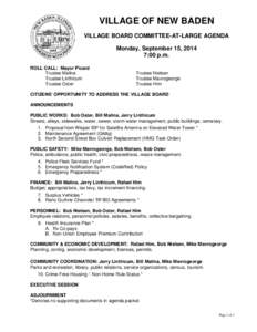 VILLAGE OF NEW BADEN VILLAGE BOARD COMMITTEE-AT-LARGE AGENDA Monday, September 15, 2014 7:00 p.m. ROLL CALL: Mayor Picard Trustee Malina
