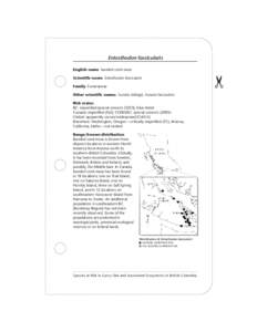 Species at Risk in Garry Oak & Associated Ecosystems in British Columbia (Entosthodon fascicularis)