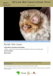 African Bat Conservation News vol. 27