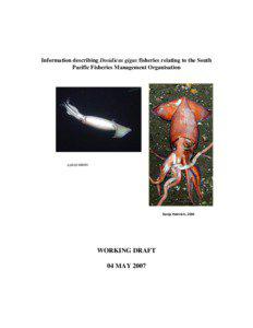 Information describing Dosidicus gigas fisheries relating to the South Pacific Fisheries Management Organisation