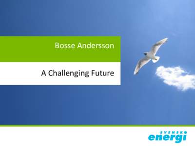 Bosse Andersson A Challenging Future What it´s all about  2