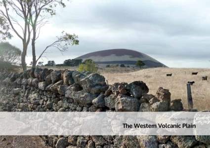 Character Type 1  The Western Volcanic Plain DPCD South West Victoria Landscape Assessment Study | The Western Volcanic Plain