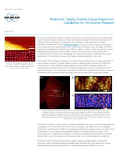 PeakForce Tapping Enables Unique Experiment Capabilities for Life Science Research