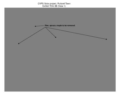 CVPS Solar project, Rutland Town Exhibit TOU-3B (View 1) Pine, spruce, maple to be removed  