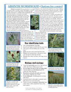 ABSINTH WORMWOOD: Options for control Absinth wormwood (Artemisia absinthium L.), a class - C noxious weed in Lincoln County, Washington is a perennial forb which is easily recognized by its strong sage odor. Absinth wor