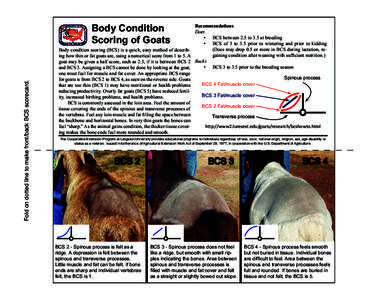 Fold on dotted line to make front/back BCS scorecard.  Body Condition Scoring of Goats  Body condition scoring (BCS) is a quick, easy method of describing how thin or fat goats are, using a numerical score from 1 to 5. A