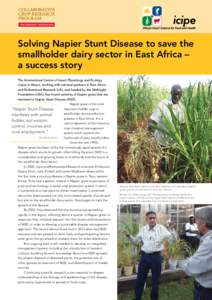 icipe Solving Napier Stunt Disease to save the smallholder dairy sector in East Africa – a success story The International Centre of Insect Physiology and Ecology (icipe) in Kenya, working with national partners in Eas