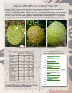 Breadfruit Nutritional Value and Versatility Breadfruit is high in complex carbohydrates, low in fat, and cholesterol and gluten free. It has a moderate glycemic index (blood sugar shock) compared to white potato, white 