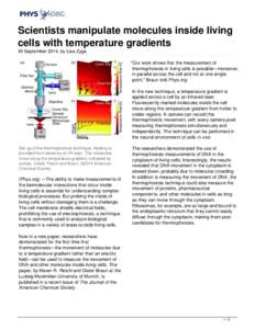 Microscale thermophoresis / Thermophoresis / Cell / DNA / Biology / Protein methods / Molecular biology