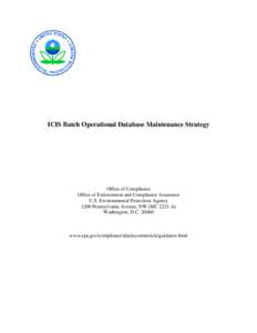 ICIS Batch Operational Database Maintenance Strategy