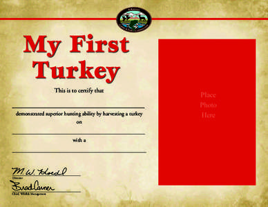 My First Turkey c=85 m=19 y=0 k=0 c=57 m=80 y=100 k=45