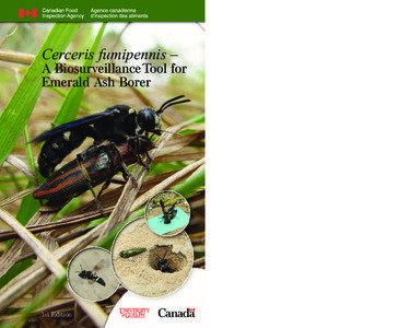 Cerceris fumipennis – A Biosurveillance Tool for Emerald Ash Borer