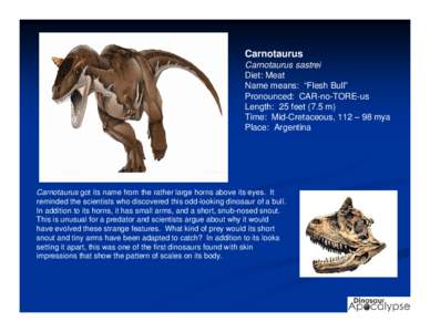 Carnotaurus Carnotaurus sastrei Diet: Meat Name means: “Flesh Bull” Pronounced: CAR-no-TORE-us Length: 25 feet (7.5 m)
