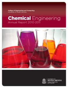 College of Engineering and Computing University of South Carolina Chemical Engineering Annual Report[removed]