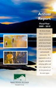 Annual Report July 1, June 30, 2009 Fiscal Year