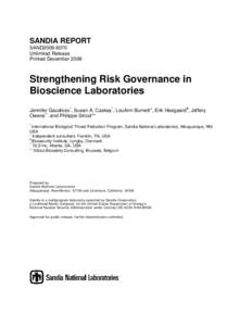 SANDIA REPORT SAND2009-8070 Unlimited Release Printed DecemberStrengthening Risk Governance in