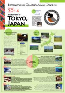Japan / Asakusa / Ukiyo-e / Sensō-ji / Ginza / Odaiba / Tōshō-gū / Hamarikyu Gardens / Harajuku / Tokyo / Chūō /  Tokyo / Geography of Japan
